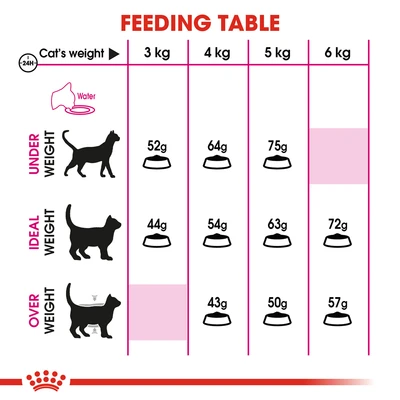 Gambar Royal Canin 400 Gr Makanan Kucing Kering Adult Aromatic Exigent 33
