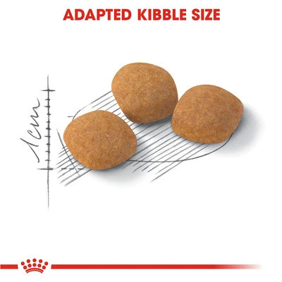 Gambar Royal Canin 400 Gr Makanan Kucing Kering Adult Protein Exigent