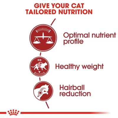 Gambar Royal Canin Fit Dry Makanan Kucing Dewasa 400 Gr