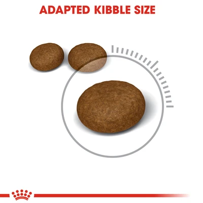 Gambar Royal Canin 4 Kg Makanan Kucing Kering Adult Hair & Skin Care