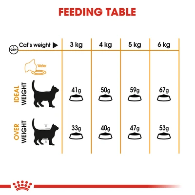 Gambar Royal Canin 4 Kg Makanan Kucing Kering Adult Hair & Skin Care