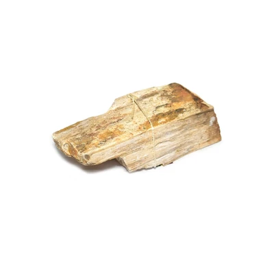 Gambar Fishland Dekorasi Akuarium Fossil