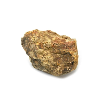 Gambar Fishland Dekorasi Akuarium Batu Fosil 1950-2900 Gr - Cokelat