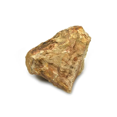 Gambar Fishland Dekorasi Akuarium Batu Fosil 1950-2900 Gr - Cokelat