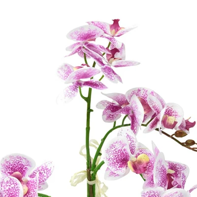 Gambar Arthome Bunga Artifisial Orchid Phalaenopsis 77.5x39.5x59 cm - Putih/Ungu