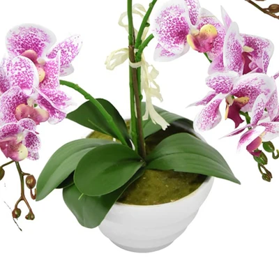 Gambar Arthome Bunga Artifisial Orchid Phalaenopsis 77.5x39.5x59 cm - Putih/Ungu