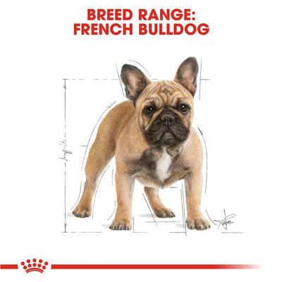 Gambar Royal Canin Makanan Anjing Kering Adult French Bulldog 3 kg