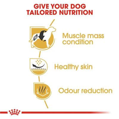 Gambar Royal Canin Makanan Anjing Kering Adult French Bulldog 3 kg