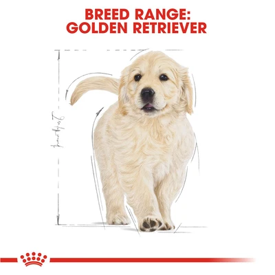 Jual Royal Canin Kg Makanan Anjing Kering Puppy Golden Retriever