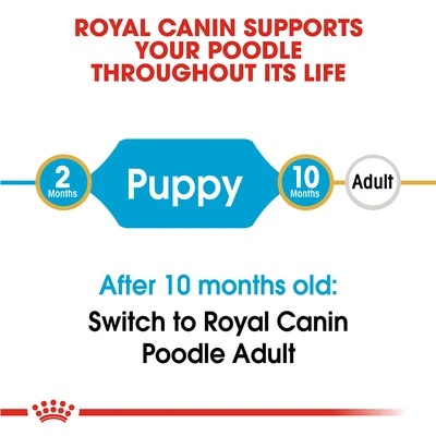 Gambar Royal Canin Makanan Anjing Kering Puppy Poodle 3 kg