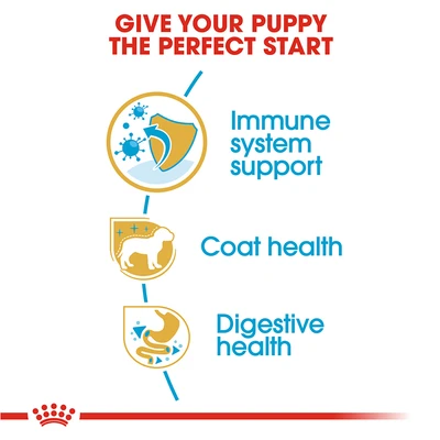 Gambar Royal Canin Makanan Anjing Kering Puppy Poodle 3 kg