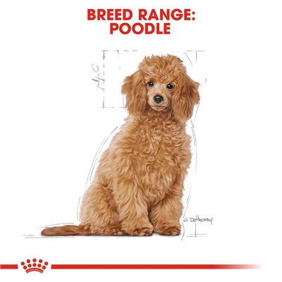 Gambar Royal Canin Makanan Anjing Kering Puppy Poodle 3 kg