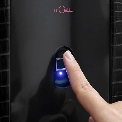 Gambar Lucell Brankas Tahan Api Fingerprint 140x70x72 cm LU-5000 - Hitam