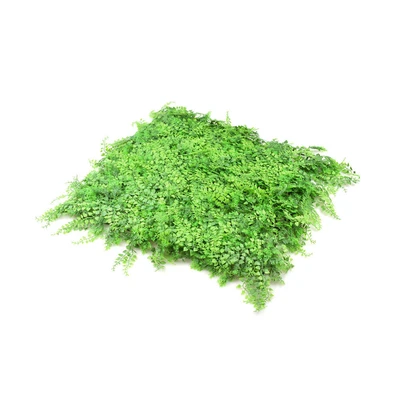 Gambar Arthome Rumput Artifisial Dinding Fern - Hijau