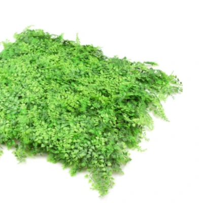 Gambar Arthome Rumput Artifisial Dinding Fern - Hijau