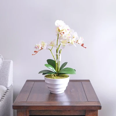 Gambar Arthome Bunga Artifisial Orchid Phalaenopsis Small 19x19x12 cm - Putih