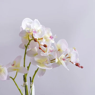 Gambar Arthome Bunga Artifisial Orchid Phalaenopsis Small 19x19x12 cm - Putih