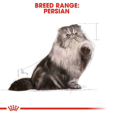 Gambar Royal Canin 85 Gr Makanan Kucing Basah Adult Persian