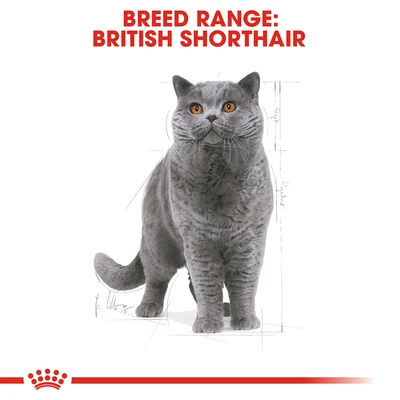 Gambar Royal Canin 2 Kg Makanan Kucing Kering Adult British Short Hair
