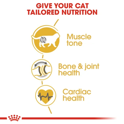 Gambar Royal Canin 2 Kg Makanan Kucing Kering Adult British Short Hair