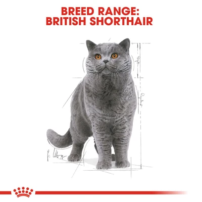 Gambar Royal Canin 85 Gr Makanan Kucing Basah Adult British Shorthair