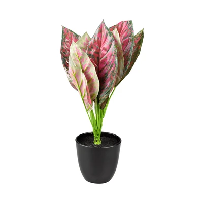 Gambar Kris Garden 35 Cm Tanaman Artifisial Aglaonema Lady Valentine