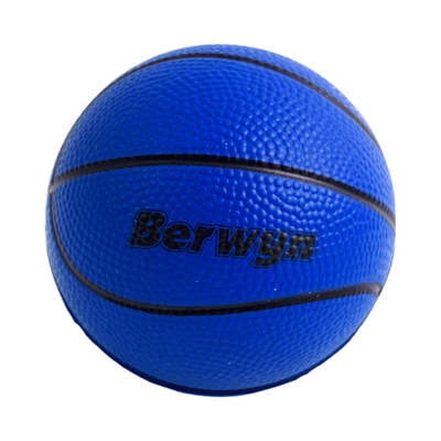 Gambar Berwyn 7 cm Bola Basket Random