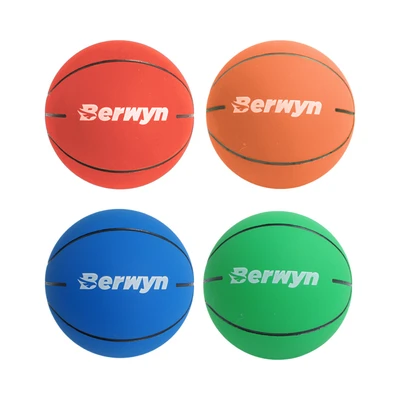 Gambar Berwyn Bouncy Bola Basket 6 cm Random