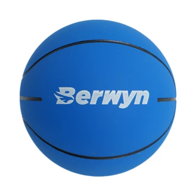 Gambar Berwyn Bouncy Bola Basket 6 cm Random