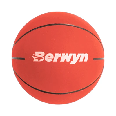 Gambar Berwyn Bouncy Bola Basket 6 cm Random