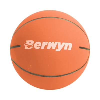 Gambar Berwyn Bouncy Bola Basket 6 cm Random