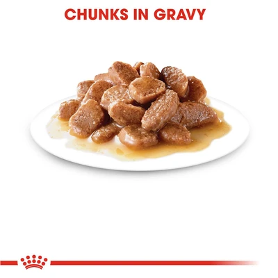 Gambar Royal Canin 85 Gr Makanan Kucing Basah Adult Digestive Care Gravy
