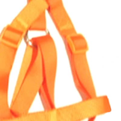 Gambar Pet Kingdom 45-71 Cm Harness Anjing 20mm - Orange