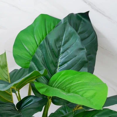 Gambar Informa Tanaman Artifisial Pothos Dengan Pot 60x60x60 cm - Hijau