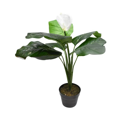 Gambar Informa Tanaman Artifisial Spathe Dengan Pot 60x60x70 cm - Hijau