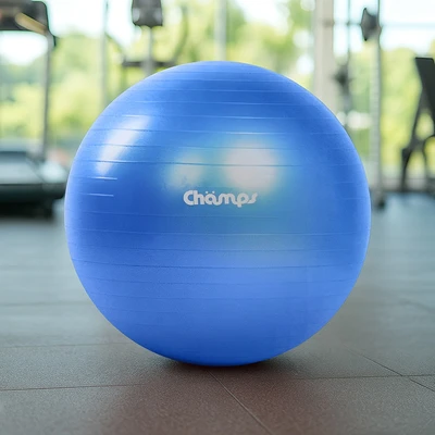 Gambar Champs Bola Fitness Anti-Burst 65 cm - Biru