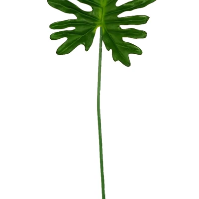 Gambar Informa Tanaman Artifisial Philodendron Leaf 22x66x2 cm - Hijau