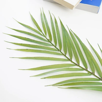 Gambar Informa Tanaman Artifisial Palm Leaf 15x60x2 cm - Hijau