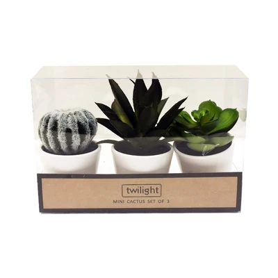 Gambar Informa Tanaman Artifisial Cactus Dengan Pot 7x7x15 cm Set 3 Pcs - Mix