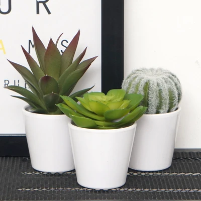 Gambar Informa Tanaman Artifisial Cactus Dengan Pot 7x7x15 cm Set 3 Pcs - Mix