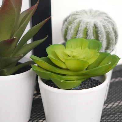 Gambar Informa Tanaman Artifisial Cactus Dengan Pot 7x7x15 cm Set 3 Pcs - Mix