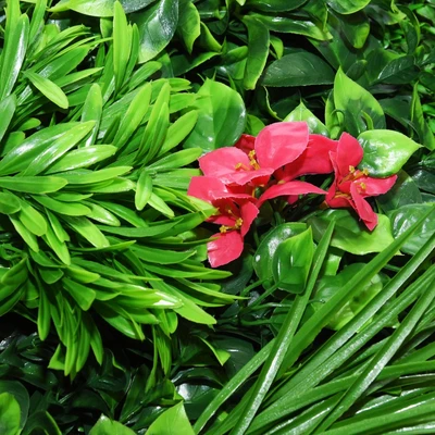 Gambar Arthome Rumput Artifisial Dinding Butterfly Flower - Hijau