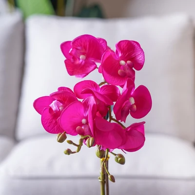 Gambar Arthome Bunga Artifisial Orchid Phalaenopsis 50 cm - Ungu