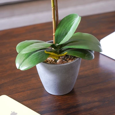 Gambar Arthome Bunga Artifisial Orchid Phalaenopsis 50 cm - Ungu