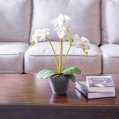 Gambar Arthome Bunga Artifisial Orchid Phalaenopsis 54x41x14 cm - Putih