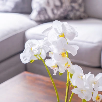 Gambar Arthome Bunga Artifisial Orchid Phalaenopsis 54x41x14 cm - Putih
