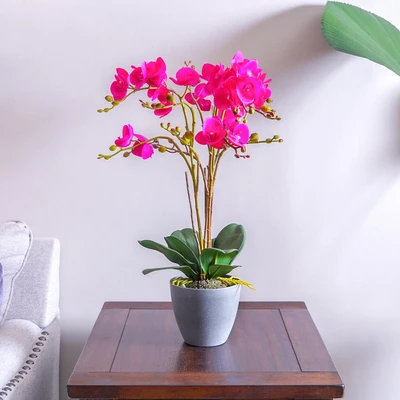 Gambar Arthome Bunga Artifisial Orchid Phalaenopsis 65x15x15 cm- Ungu