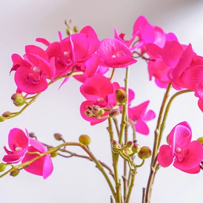 Gambar Arthome Bunga Artifisial Orchid Phalaenopsis 65x15x15 cm- Ungu