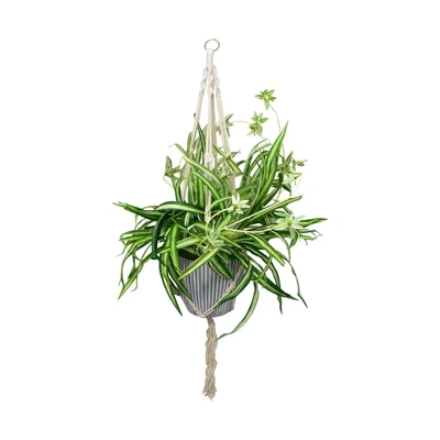 Gambar Arthome 90 Cm Tanaman Artifisial Spider Plant Dengan Pot Gantung