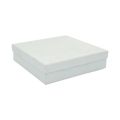 Gambar Pendopo Kotak Penyimpanan Dengan Tutup 20x20x5 cm - Putih